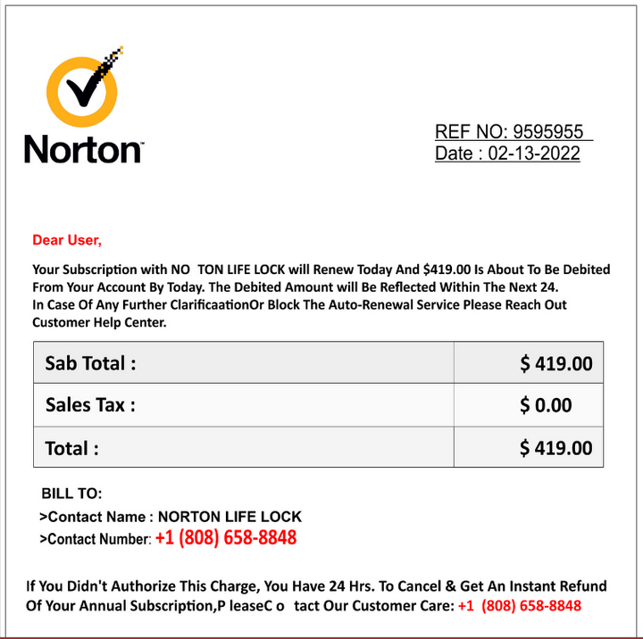 Norton Scam Email